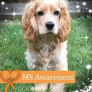 Meet your Posher, Marlene